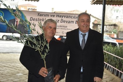 Şarköy'de 22 Bin Meyve Fidanı Dağıtıldı