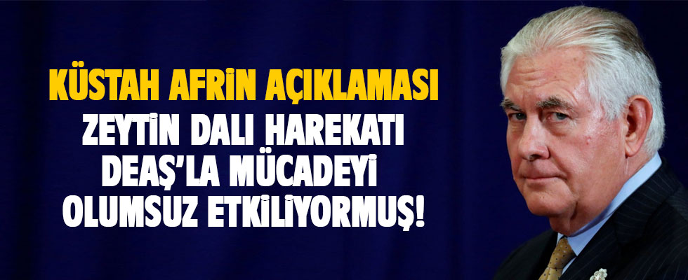 Tillerson'dan Zeytin Dalı için küstah açıklama