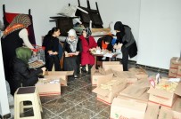 FINDIK TOPLAMA - AK Partili Kadınlar Mehmetçiğe 5 Ton Fındık İçi Gönderecek