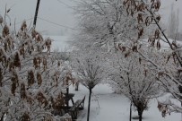 Başkale'de Kar Yağışı