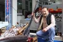 KILIÇ BALIĞI - İki Buçuk Metrelik Kılıç Balığı İlgi Görüyor