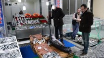 KILIÇ BALIĞI - Marmara'da Yaklaşık 2,5 Metrelik Kılıç Balığı Yakalandı