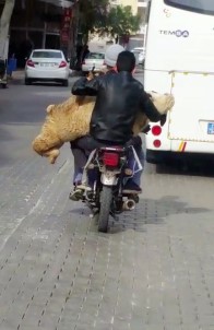 Motosiklette Koyun Taşıdılar
