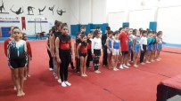 NEŞE ERBERK - Okullar Arası Jimnastik Müsabakalarında Dereceye Girenler Belli Oldu