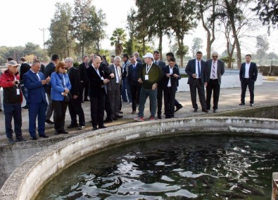 Orta Asya Ülkelerine Yönelik Sürdürülebilir Su Ürünleri Yetiştiriciliği Eğitimi Gerçekleştirildi
