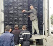 Şanlıurfa'da 40 Bin Paket Gümrük Kaçağı Sigara Ele Geçirildi