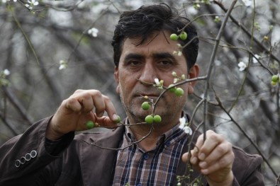 Antalyalı Çiftçiden Afrin'deki Askerlerin Hamile Eşlerine Anlamlı Hediye
