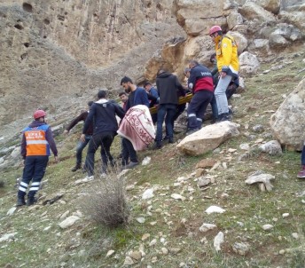 Cizre'de Kasrik Kayalıklarına Çıkan Genç Düşerek Yaralandı
