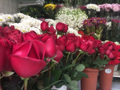 Sevgililer Günü'nde Çiçekçiler İnternetten Satışından Şikayetçi