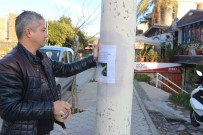 Sokak Sokak Dolaşıp Şeker'i Arıyor