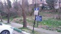CEMIL AYDıN - Aydın Açıklaması 'Çekirge Devlet Hastanesi Karşısındaki Arazi Sosyal Donatı Alanı Yapılsın'