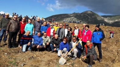 Datça'da Geçen Yıl Yanan Alanlar Afrin Şehitleri Anısına Yeniden Ağaçlandırıldı