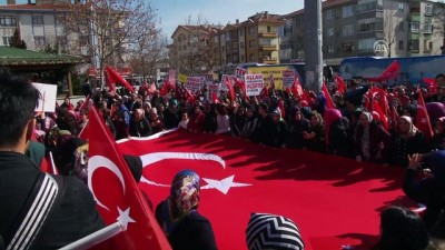 'Zeytin Dalı Harekatı Ve Mehmetçik'e' Destek Yürüyüşü