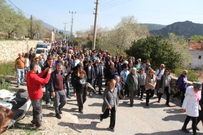 Doğaseverler Badem Çiçeği İçin Yürüdü