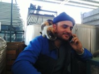 AKÇAKOYUN - Karacabey'i Üzen Ölüm