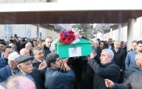 ŞERIF YıLMAZ - Sümer Ezgü'nün Acı Günü