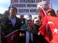 ŞEKEROBA - 105 Yaşındaki Nineden Mehmetçiğe 11 Küçükbaş Hayvan