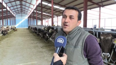 Almanya'dan Getirdiği İneklerle Antalya'da Çiftlik Kurdu