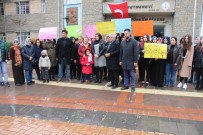 Elazığlı Kadınlardan İstismar Olaylarına Tepki