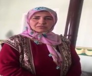 TIBBİ BİTKİLER - Fransızca Başladı Türkçe Bitirdi