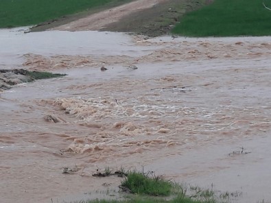 Kızıltepe'de Tarlalar Su Altında Kaldı