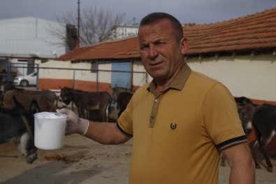 Turizm Sektörünü Bıraktı, Eşek Sütü Üretimine Başladı