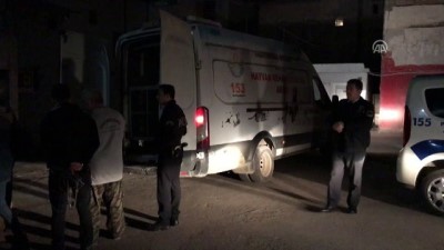 Adana'da İki Köpeğe İşkence İddiası