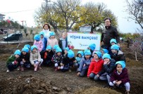 ÖMER SEYFETTİN - Beylikdüzü'nde Hobi Bahçeleri İçin Başvurular Başladı