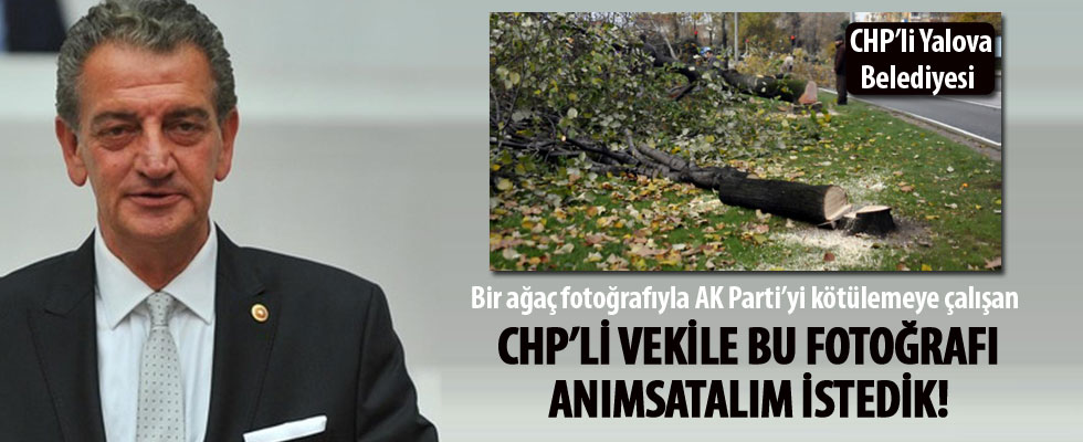 CHP'li Bozkurt, AK Parti'yi nasıl eleştireceğini şaşırdı