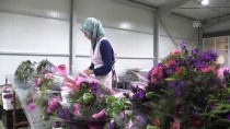 OSMAN BAĞDATLıOĞLU - Çiçek İhracatında 2018 Hedefi 100 Milyon Dolar