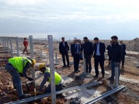 GÜNEŞ ENERJİSİ SANTRALİ - Harran Üniversitesi GES Kurma Çalışmalarına Başladı
