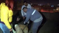 Köpeklerini Kemerle Döven Şahıs Gözaltına Alındı