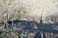 TEKKIRAZ - Ordu'da Pikap Fındık Bahçesine Yuvarlandı Açıklaması 4 Yaralı