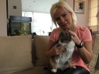 ÖMÜR GEDİK - (Özel) 'Kuyu' Köpek Kurtarılmasından Bir Sene Sonra Görüntülendi