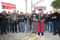 İSMAIL ÇORUMLUOĞLU - Şehzadeler Belediyesi Yeniköy Hacı Bektaş-I Veli Kültür Merkezindeki Cemevinde Mehmetçik İçin Kurban Kesildi