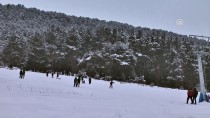 KAYAK TUTKUNLARI - 'Yalnızçam' Kafkasların Gözdesi Olmaya Aday