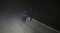 3 Kişiyi Öldürüp Sosyal Medyada Canlı Yayın Yapan Katil Zanlısına Köpekli Arama Başlatıldı