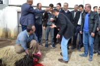 ARİF KARAMAN - Adilcevaz Afrin Gazisini Bağrına Bastı