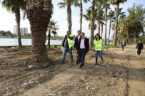 SEYHAN NEHRİ - Başkan Çelikcan Açıklaması 'Yüreğir'de Yeşil Alanları Hızla Çoğaltıyoruz'