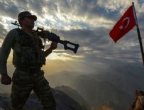 TSK'dan flaş Afrin harekatı açıklaması