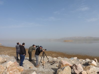 Konya'nın Göl Ve Sulak Alanlarında Kış Ortası Kuş Sayımları Gerçekleştirildi