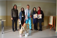 KADIR ÖZDEMIR - Öğrencilere Hayvan Sevgisi Aşılandı