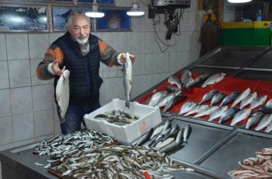 Tezgahta En Pahalı Balık Hamsi