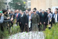 Bakanlar Şanlıurfa'da Vatandaşlara Fidan Dağıttı