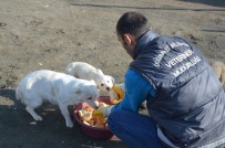 EKMEK İSRAFI - Doğubayazıt'ta Bayat Ekmekler Sokak Hayvanlarına Veriliyor