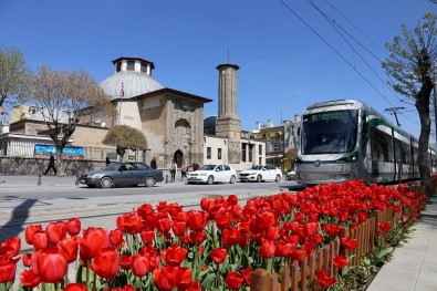 Konya 'Uluslararası Yeşil Başkentler Kongresi'ne Ev Sahipliği Yapacak