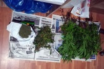 Korkuteli'nde Uyuşturucu Operasyonu