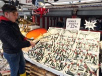 NORVEÇ - Uskumru Hamsinin Tahtını Sallıyor