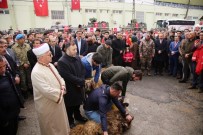 SİİRT EMNİYET MÜDÜRLÜĞÜ - Siirt'te 60 Özel Harekat Polisi Afrin'e Uğurlandı