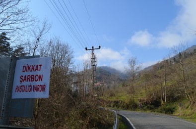 Trabzon'da Şarbon Tehlikesi Nedeniyle Bir Mahalle Daha Karantinaya Alındı